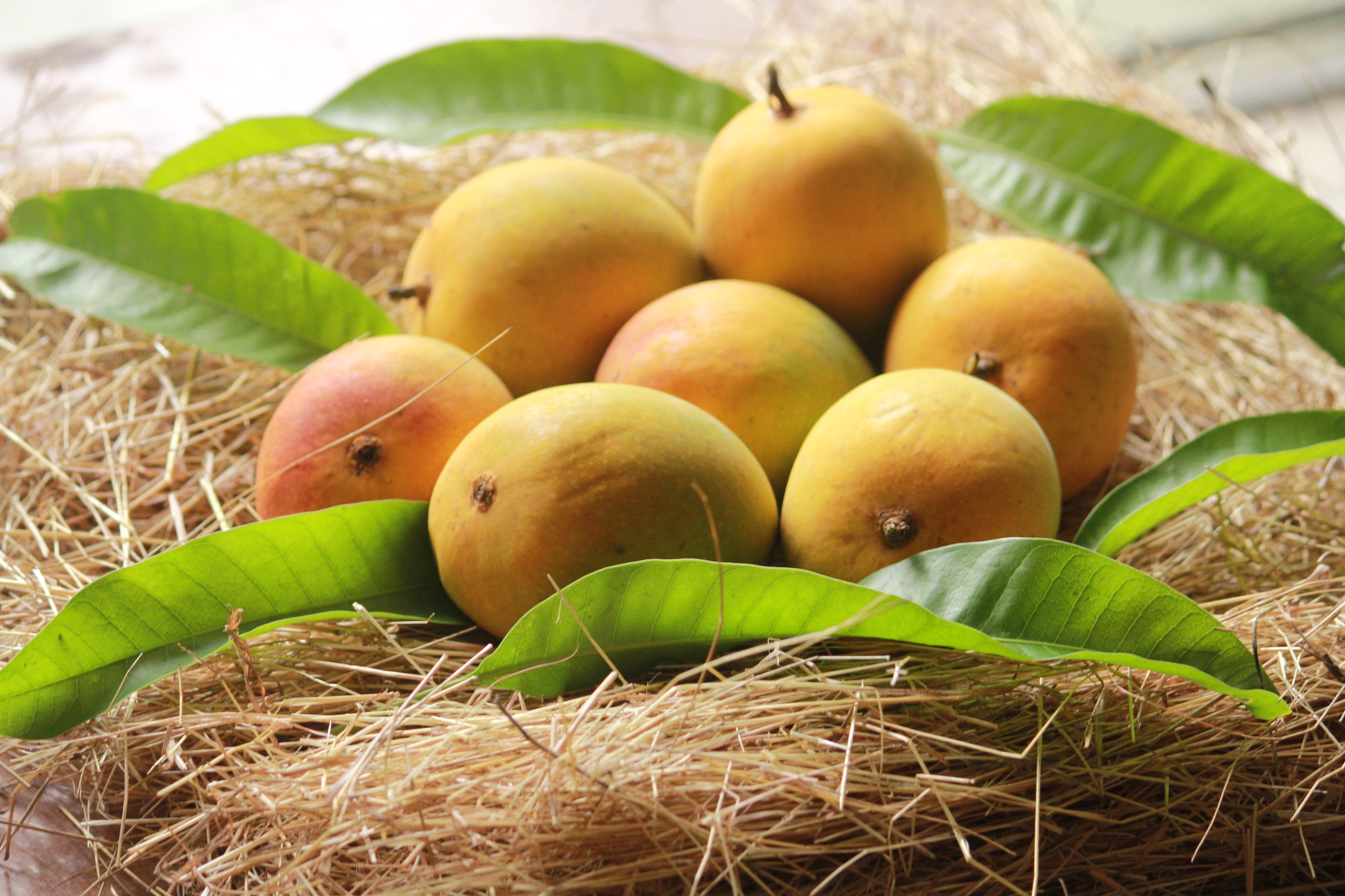 13/14 Fruits Devgadh Alphanso box,1