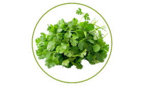 Coriander Pack (Approx 250g - 350g)