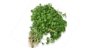 Desi Coriander Bunch