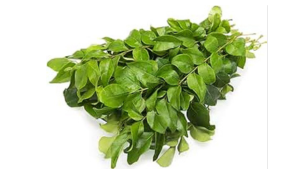Curry Leaves Pack / Bunch