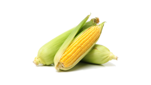 Sweet Corn