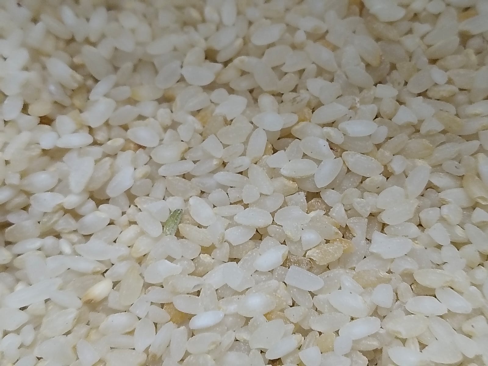 Organic  Unpolished Ambemohor,1kg