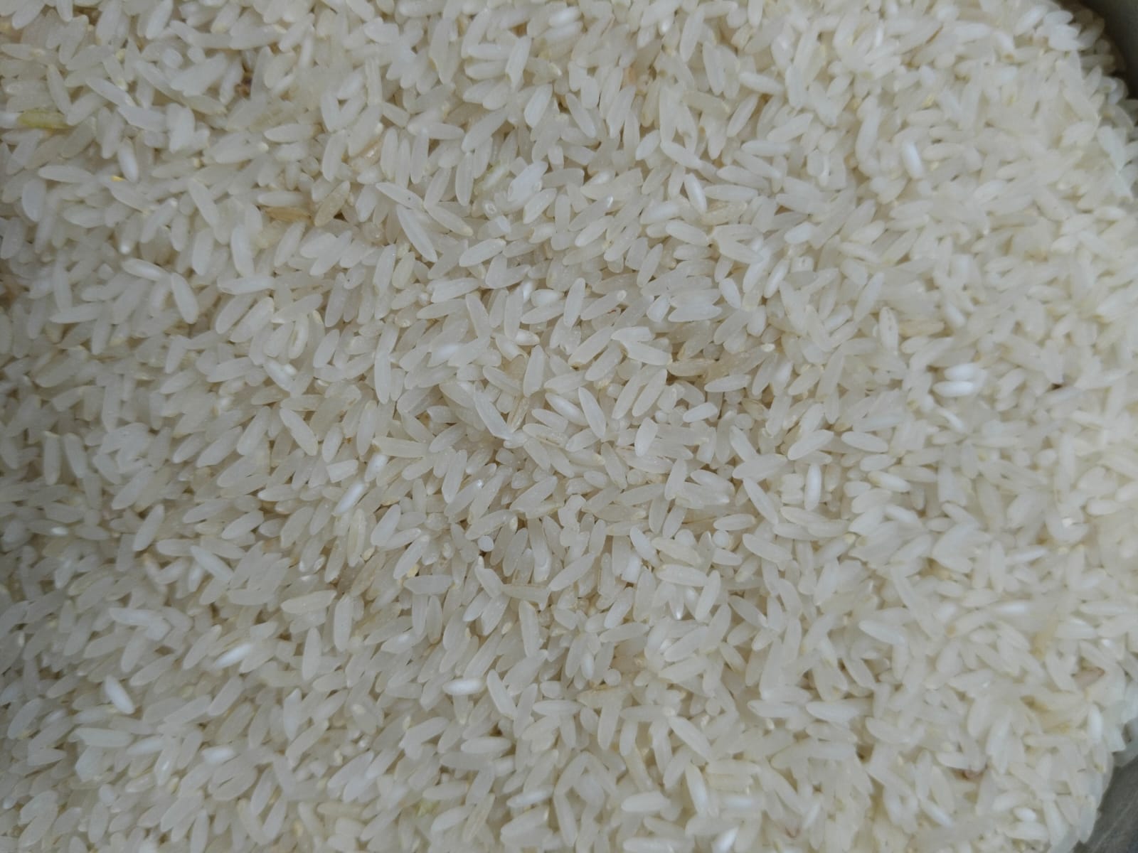 Organic jira kolam,1kg